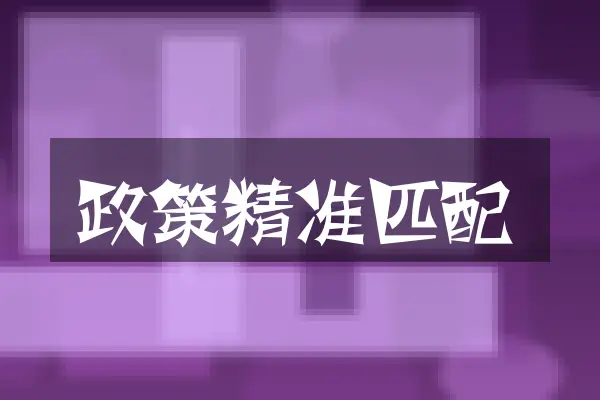 政策精准匹配