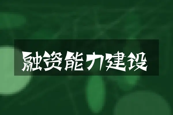 融资能力建设